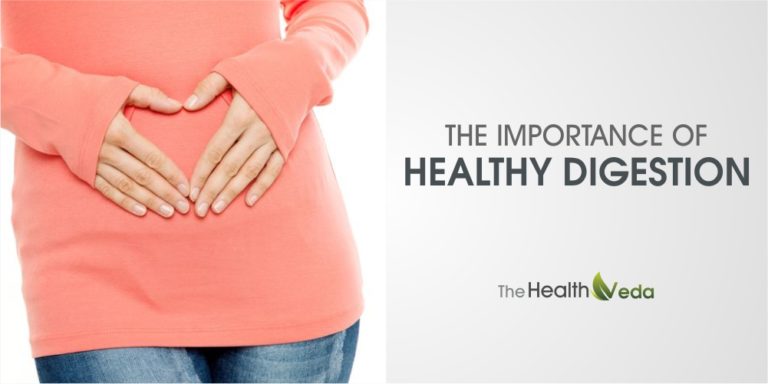 The Importance of Healthy Digestion – The Healthveda Ayurveda – A Key ...